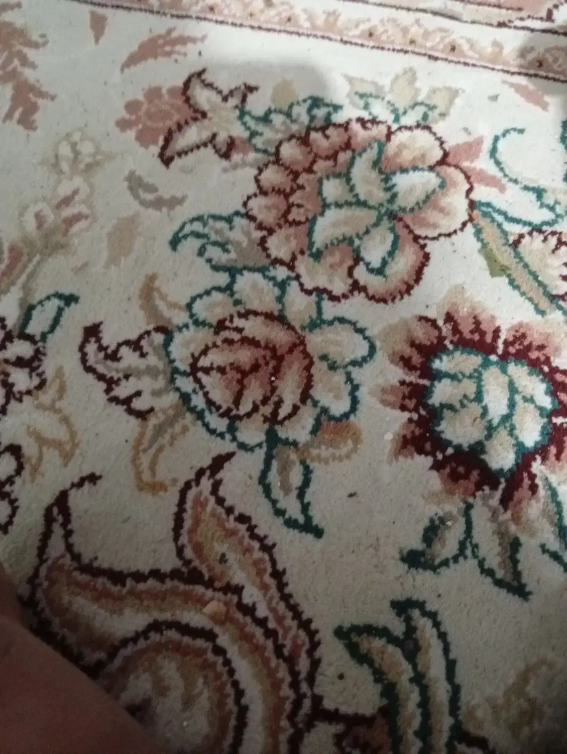 فرش ۱۲متری۲عدد|فرش|رضویه, |دیوار