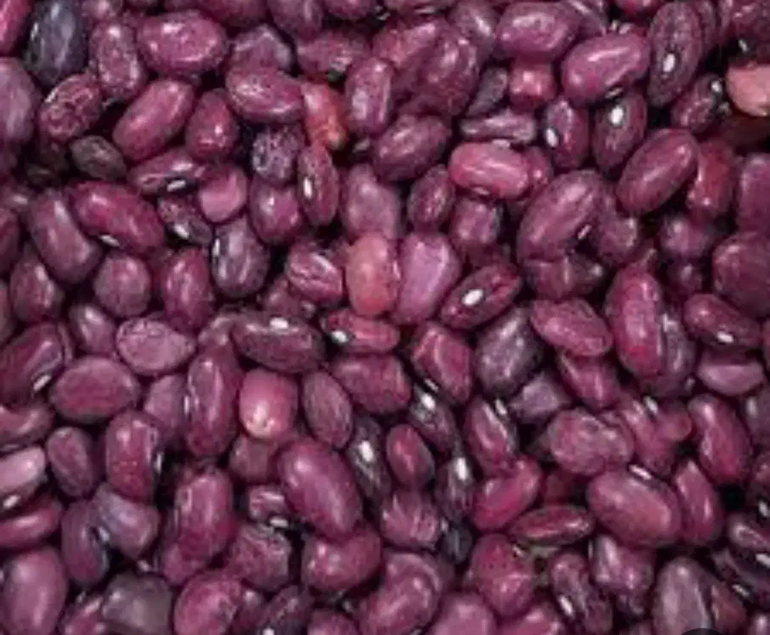 لوبیا قرمز بوجاری شده تمیز ۱۴۰۴|خوردنی و آشامیدنی|آوج, |دیوار