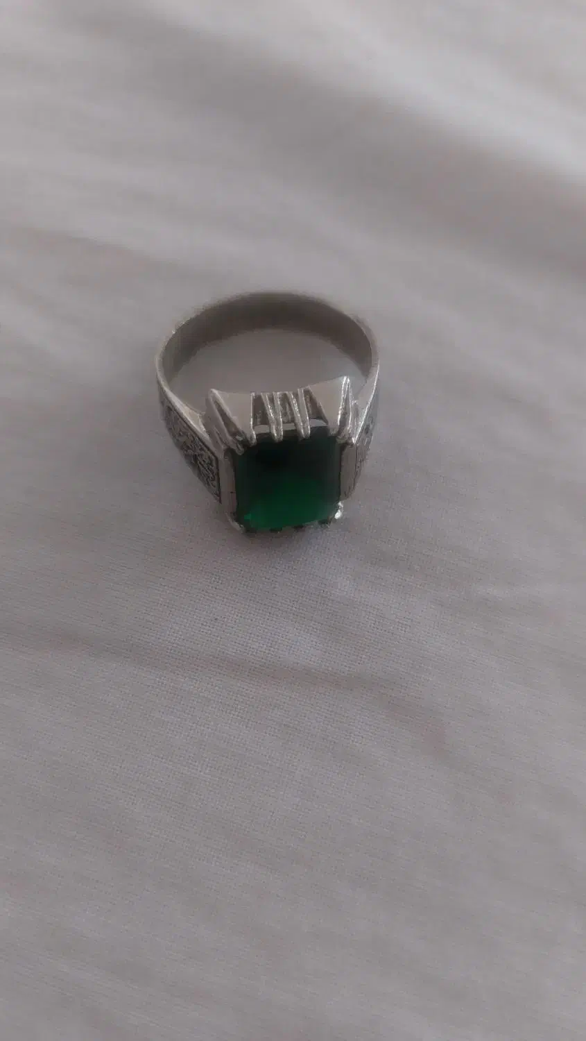 پرنده|پرنده|کوهسار (البرز), |دیوار