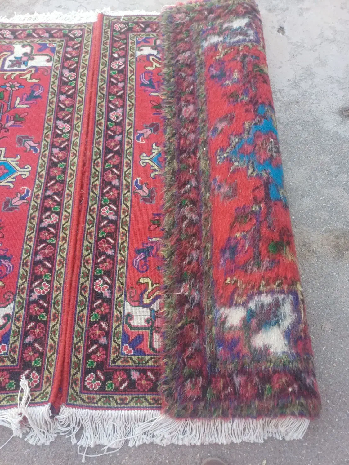 یک جفت زرنیم|فرش|تبریز, |دیوار