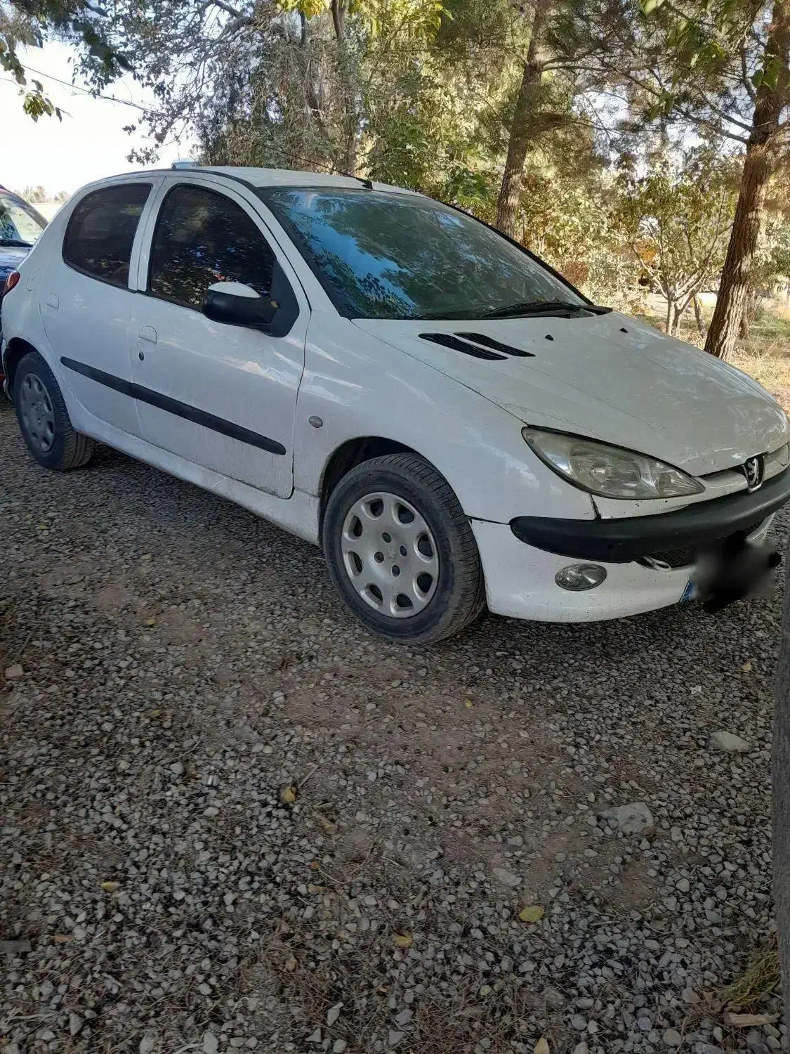 پژو‌۲۰۶|خودرو سواری و وانت|فامنین, |دیوار