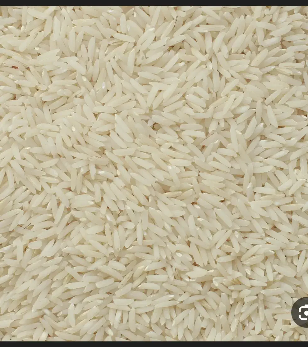 برنج شمشیری درجه یک|خوردنی و آشامیدنی|شباب, |دیوار