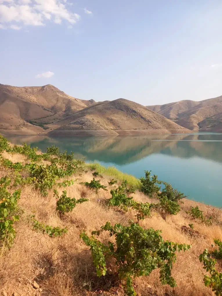 باغ ۳هکتاری بر فراز سد گاوشان|فروش خانه و ویلا|موچش, |دیوار