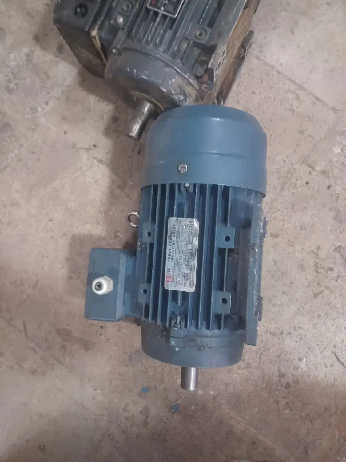 کبوتر|ابزارآلات|قم, وادی السلام|دیوار