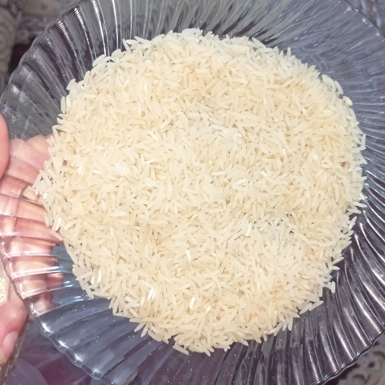 برنج فجر|خوردنی و آشامیدنی|آزادشهر, |دیوار