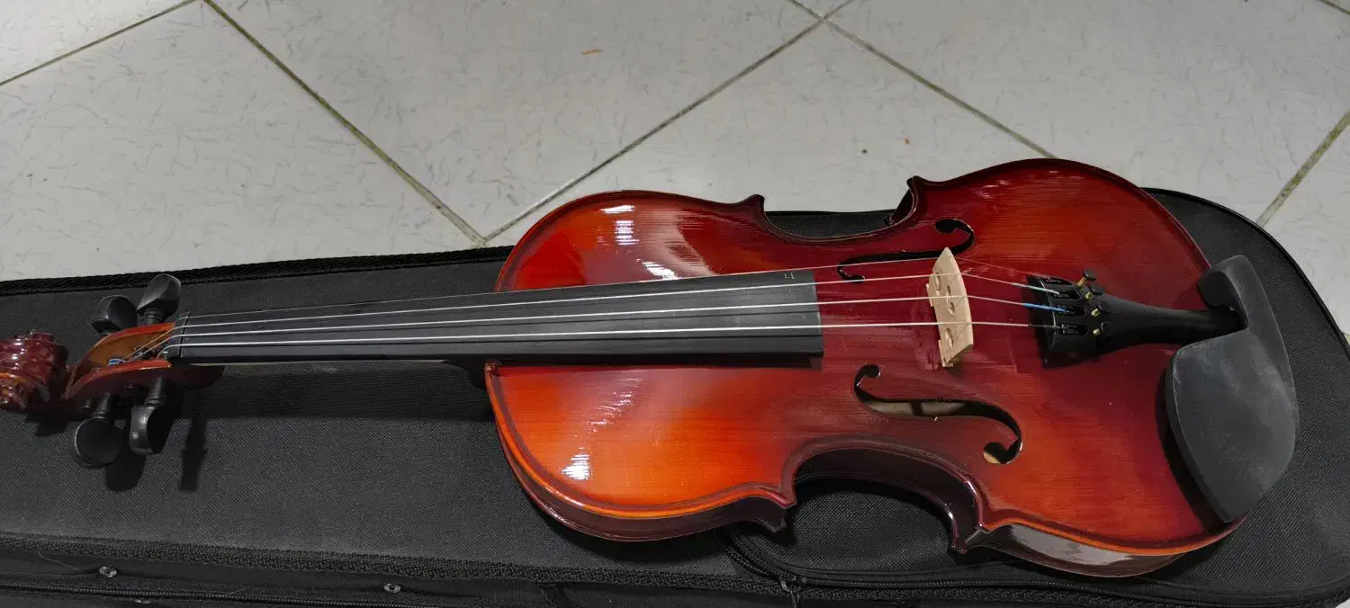 ساز ویولن تی اف|ویولن|اصفهان, باغ زرشک|دیوار