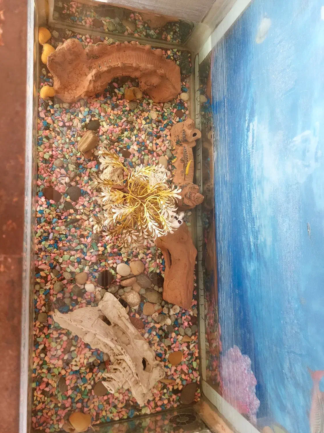آکواریوم پایه دار|ماهی|شاهین‌شهر, گرگاب|دیوار