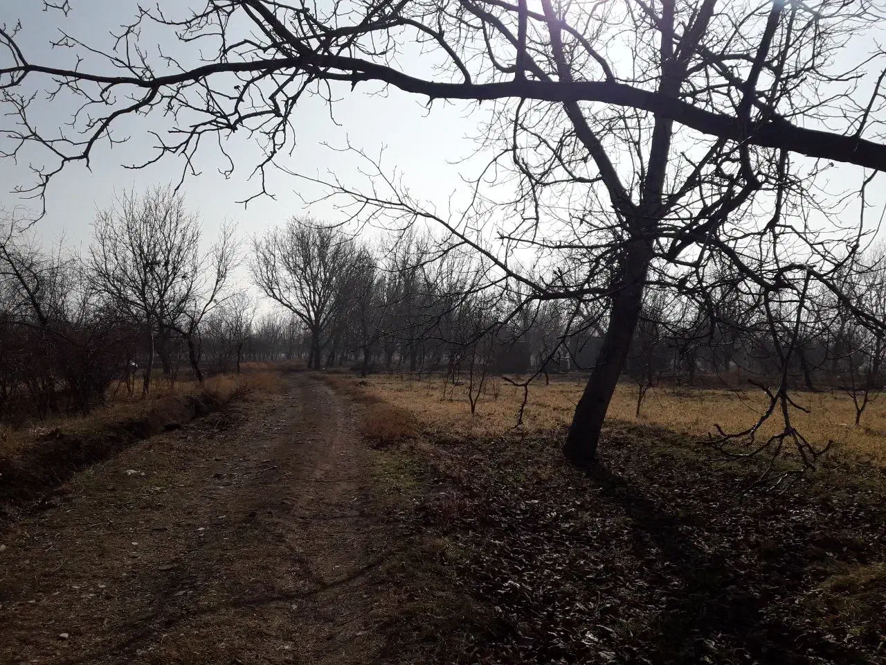باغ الوان در روستای گوروان عجبشیر|فروش زمین و ملک کلنگی|عجب شیر, |دیوار