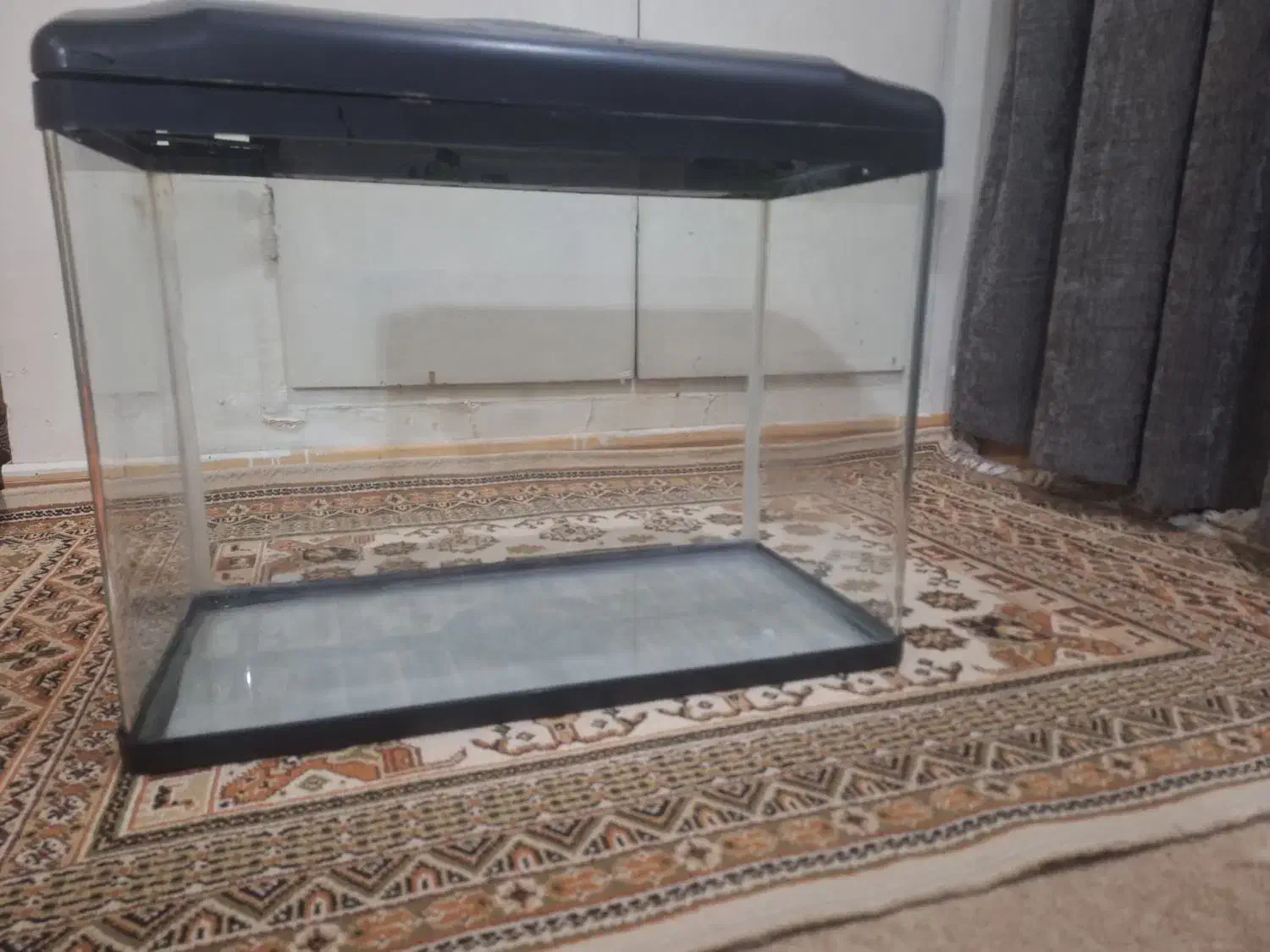 اکواریوم دلسا طول ۶۰|ماهی|تهران, شهرک امام خمینی|دیوار