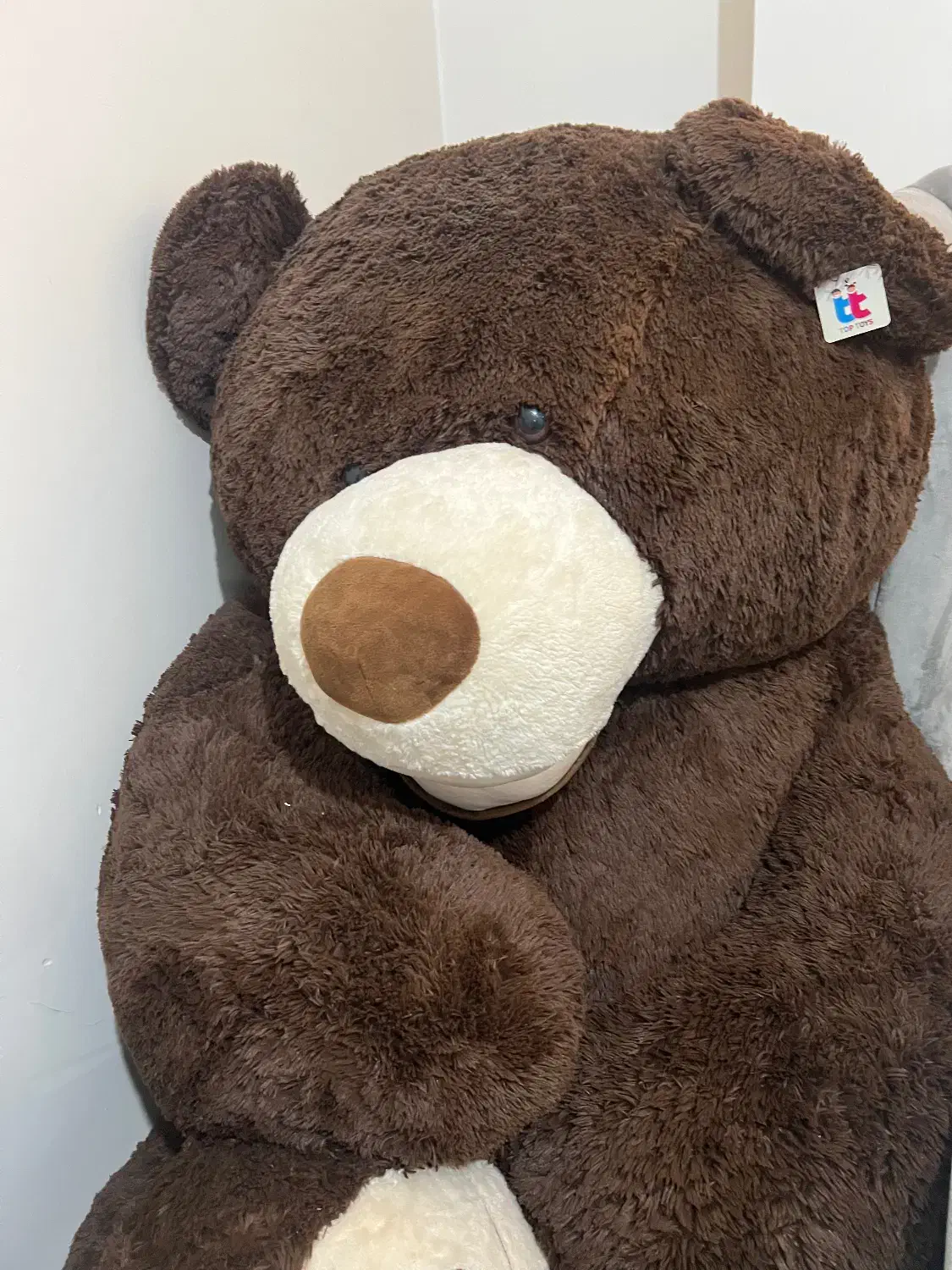 خرس بزرگ ولنتاین|اسباب‌‌بازی|تهران, گلستان (شهرک راه آهن)|دیوار