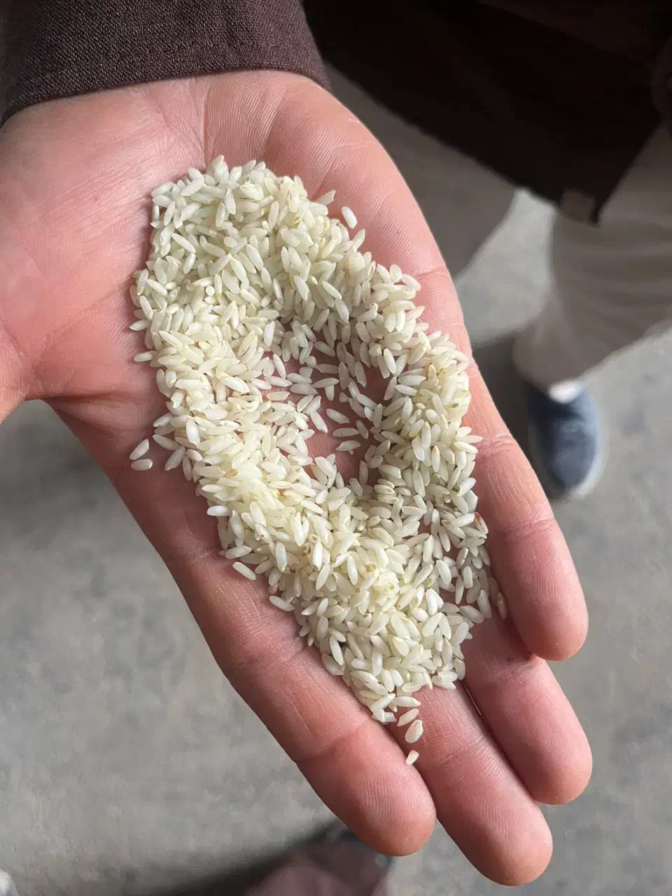 عنبر بو|حراج|خرمشهر, |دیوار