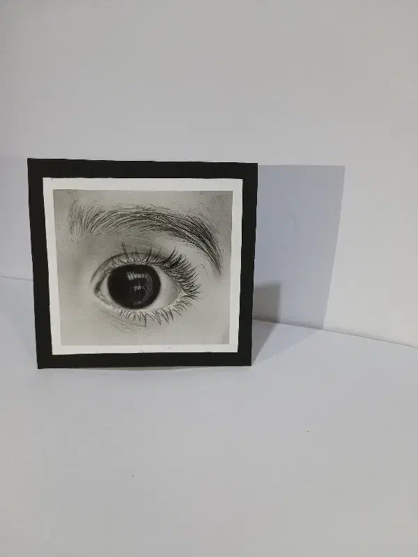 طراحی چهره واجزای چهره سیاهقلم|تابلو، نقاشی، عکس|کاشان, مصلی|دیوار