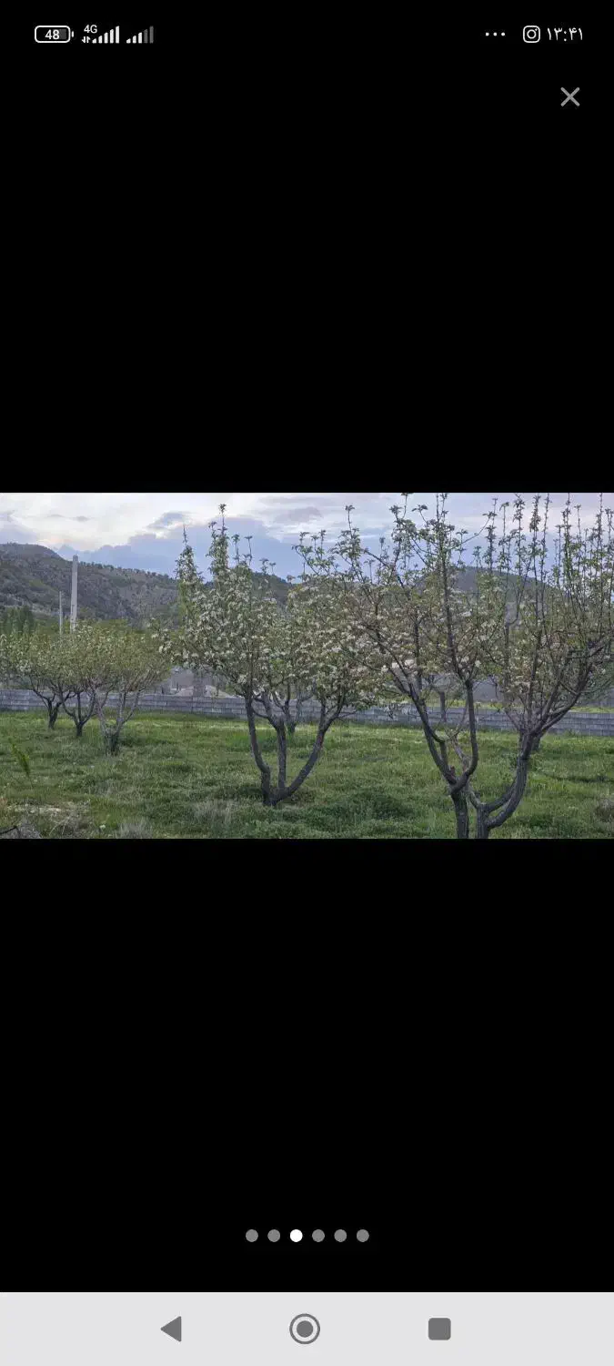 باغ در سی سخت|فروش دفتر صنعتی، کشاورزی، تجاری|سیسخت, |دیوار