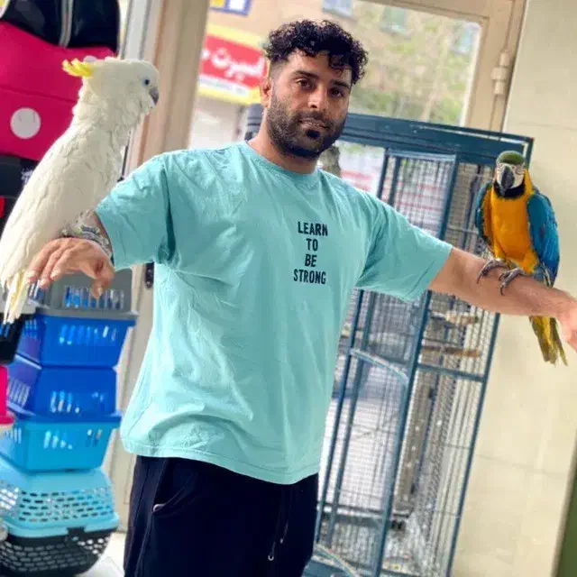 بزرگترین پت شاپ و قصر پرنده در سمنان|پرنده|سمنان, |دیوار