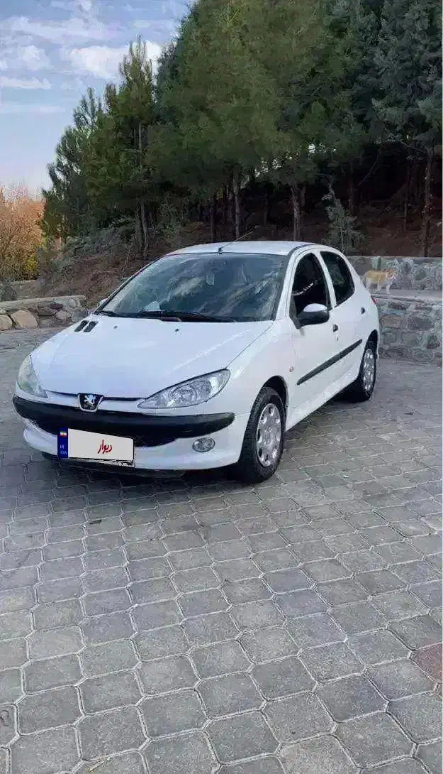 ۲۰۶ تیپ ۲ مدل ۹۱ تک برگ سند|خودرو سواری و وانت|تبریز, |دیوار