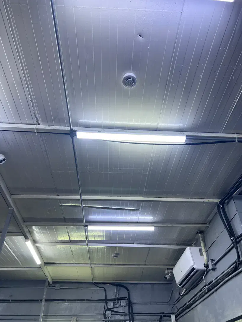 برقکار صنعتی|خدمات پیشه و مهارت|بندرعباس, |دیوار