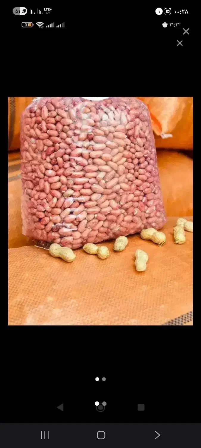 بادام زمینی درجه یک|حراج|اردبیل, |دیوار