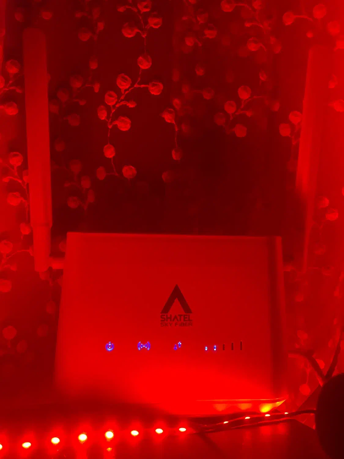 مودم skyfibr shatel|مودم و تجهیزات شبکه|تنکابن, |دیوار