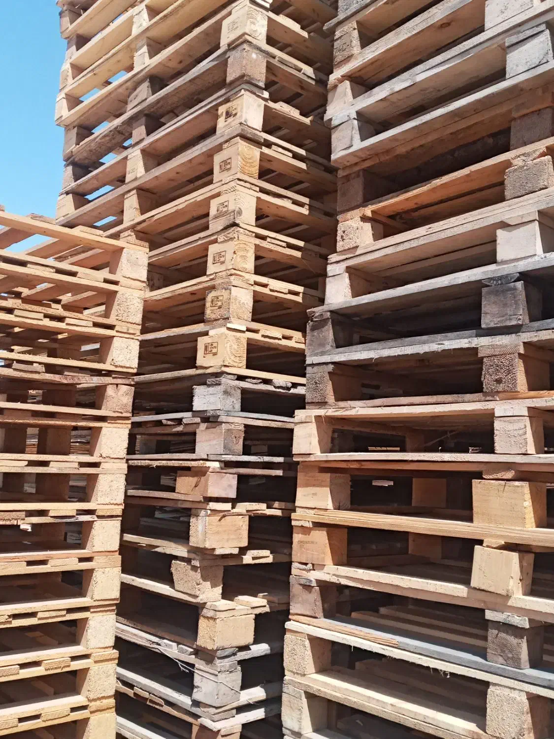 خریدار پالت چوبی|عمدهفروشی|تهران, یافتآباد|دیوار