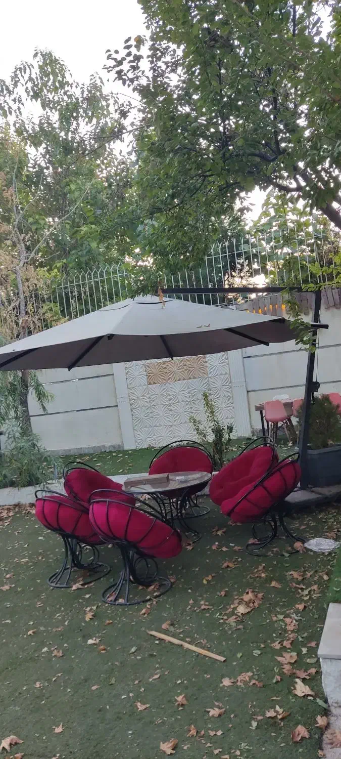 دو عدد چتر سایبان|میز و صندلی غذاخوری|شیراز, علوم پزشکی|دیوار