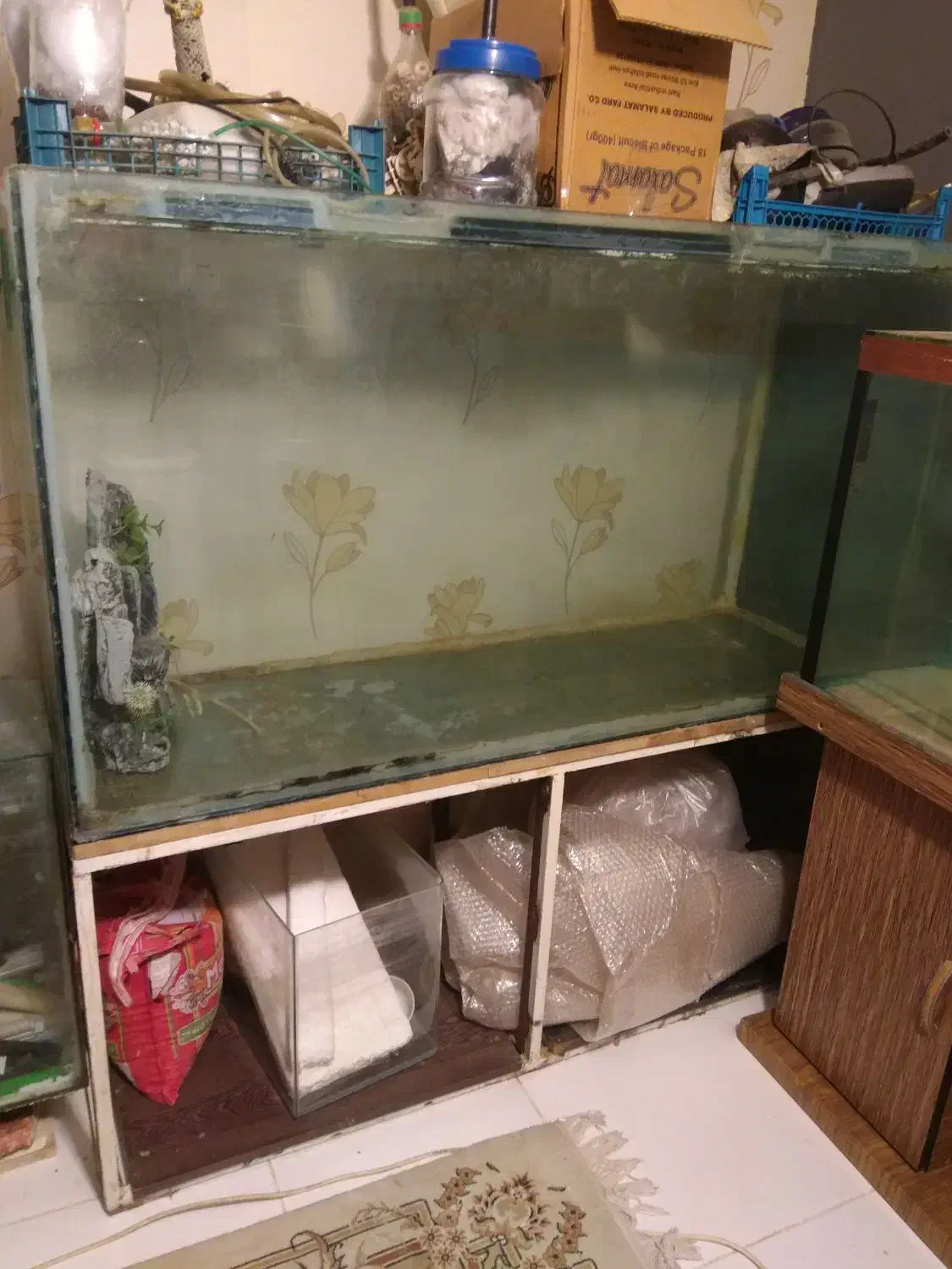 چند عدد آکواریوم|ماهی|تهران, گلاب دره|دیوار