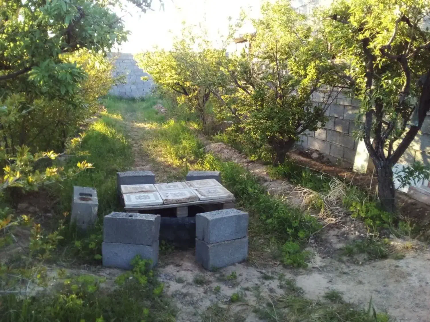 باغ دور دیوار موقعیت مناسب|فروش زمین و ملک کلنگی|کاشمر, |دیوار