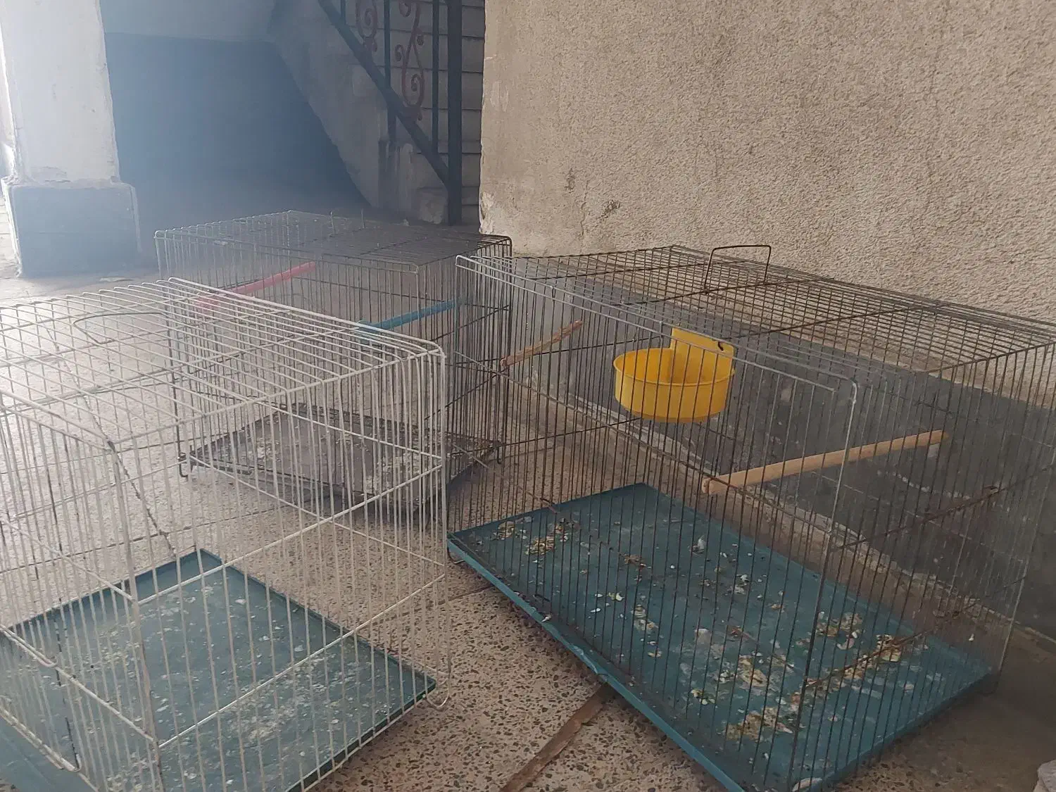 قفس پرنده|لوازم جانبی حیوانات|اهواز, گلستان|دیوار