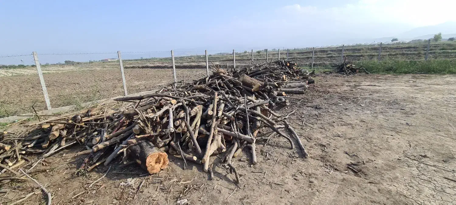 نیرو بارچین چوب|استخدام حمل و نقل|گرگان, |دیوار