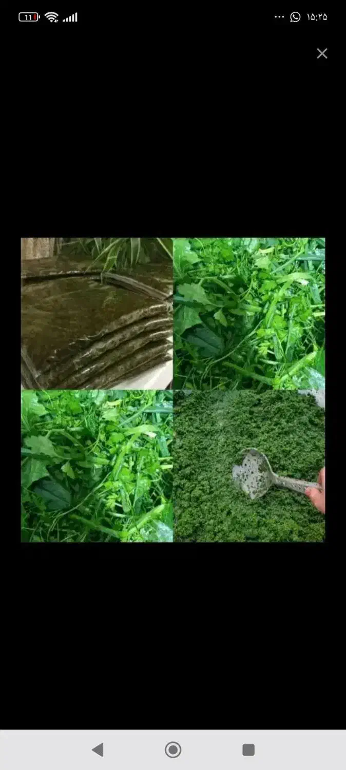 سبزی خورشتی وماهی اشی شوید|خوردنی و آشامیدنی|بندر ماهشهر, |دیوار