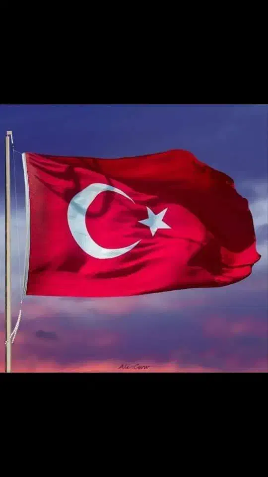 کارگو ایران ترکیه|خدمات حمل و نقل|رودهن, |دیوار