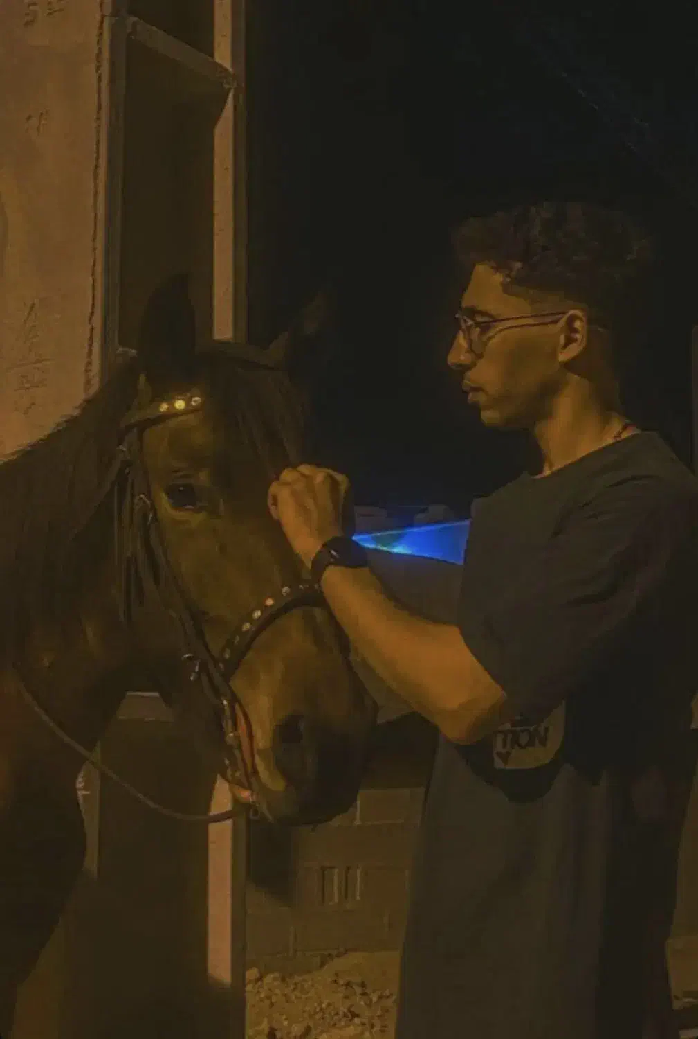 اسب|اسب و تجهیزات اسب‌سواری|کوشکنار, |دیوار