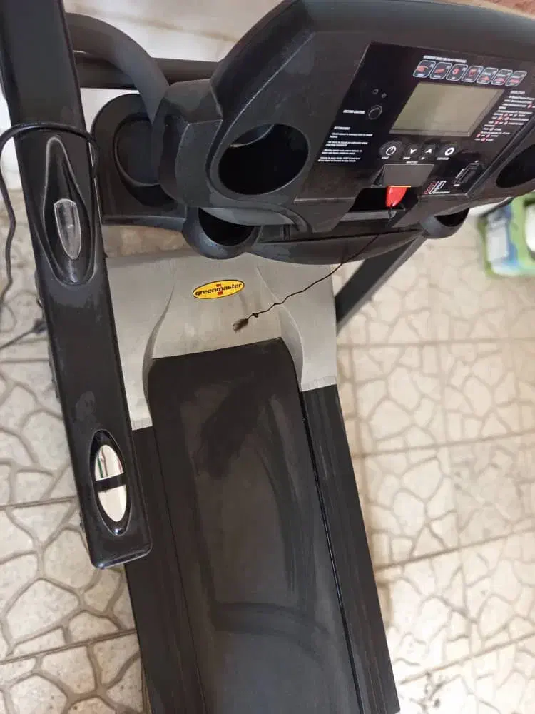 تردمیل|تجهیزات ورزشی|الوند, |دیوار