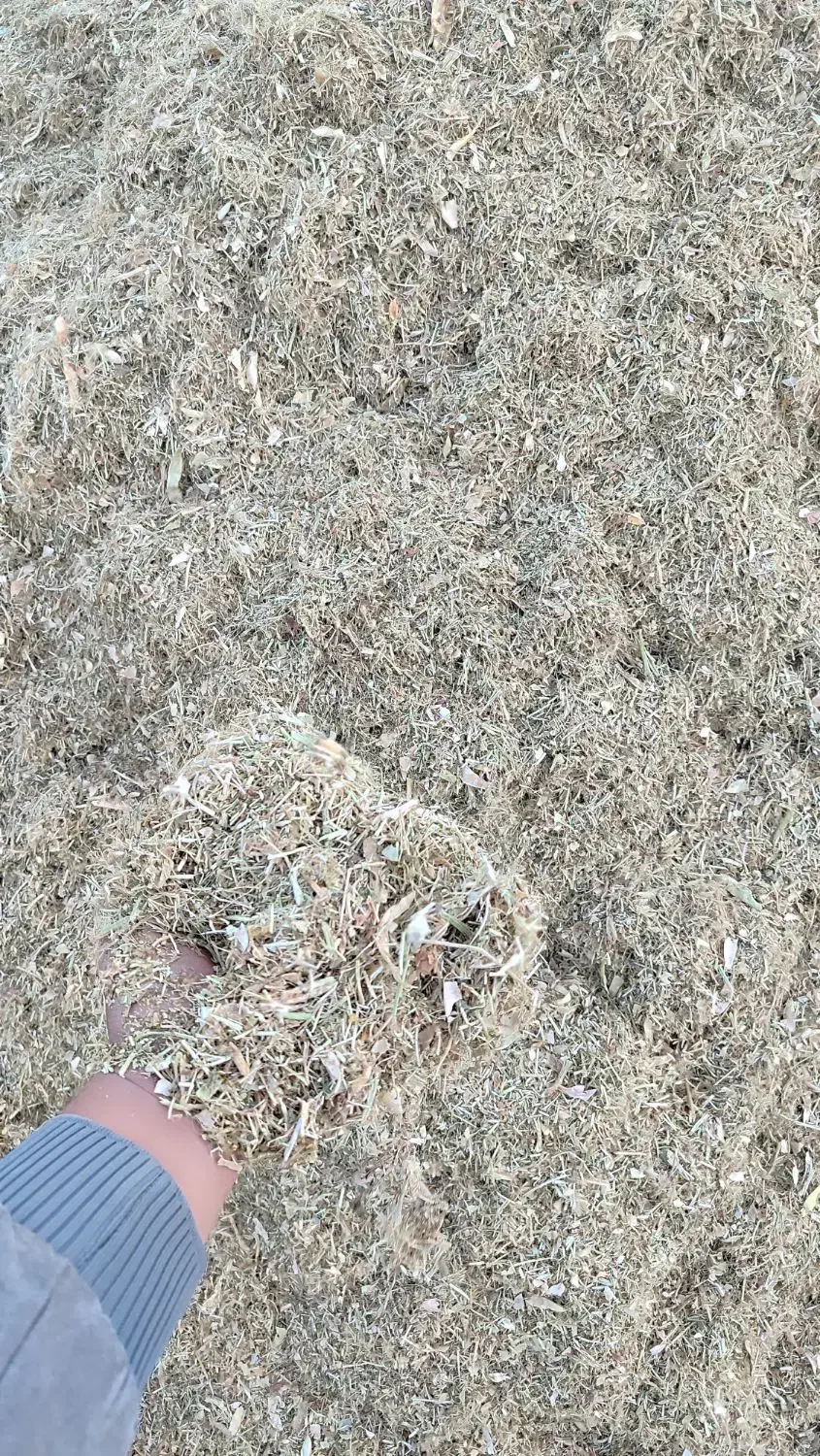 کاه لوبیا قرمز|لوازم جانبی حیوانات|سیلاخور, |دیوار