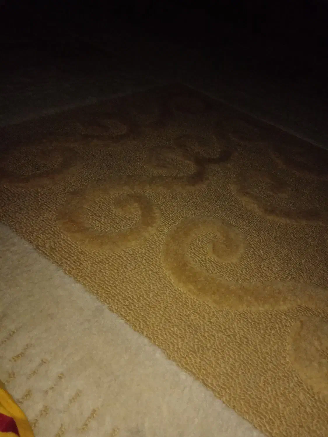 گلیم ۱۲متری|گلیم، جاجیم، گبه|شوش, |دیوار