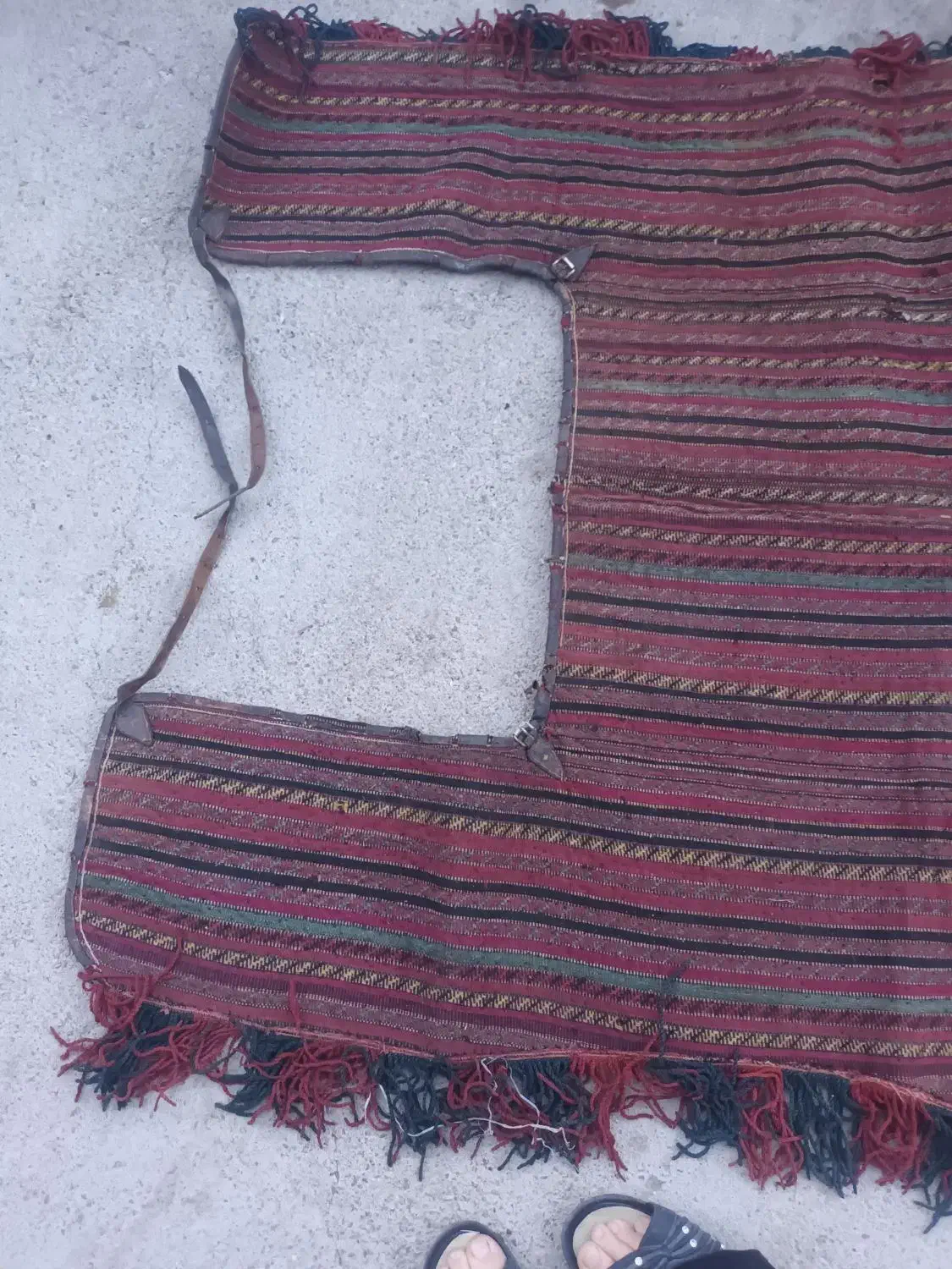 جول اسب|اسب و تجهیزات اسب‌سواری|مشهد, انصار|دیوار