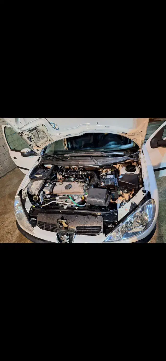 پژو ۲۰۶ تیپ ۲ مدل ۸۲ تمام رنگ|خودرو سواری و وانت|دورود, |دیوار