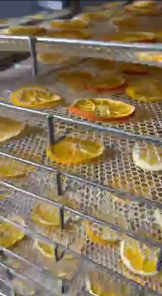 دستگاه خشک کن میوه و سبزی  eirderayer pilsa|ماشین‌آلات صنعتی|مشهد, کاظم آباد پنجشنبه|دیوار