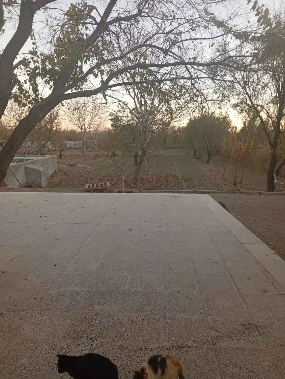 خونه باغ|فروش خانه و ویلا|بافت, |دیوار