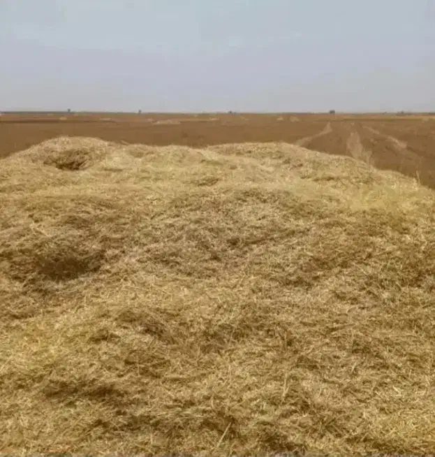 کاه گندم|لوازم جانبی حیوانات|کوهدشت, |دیوار