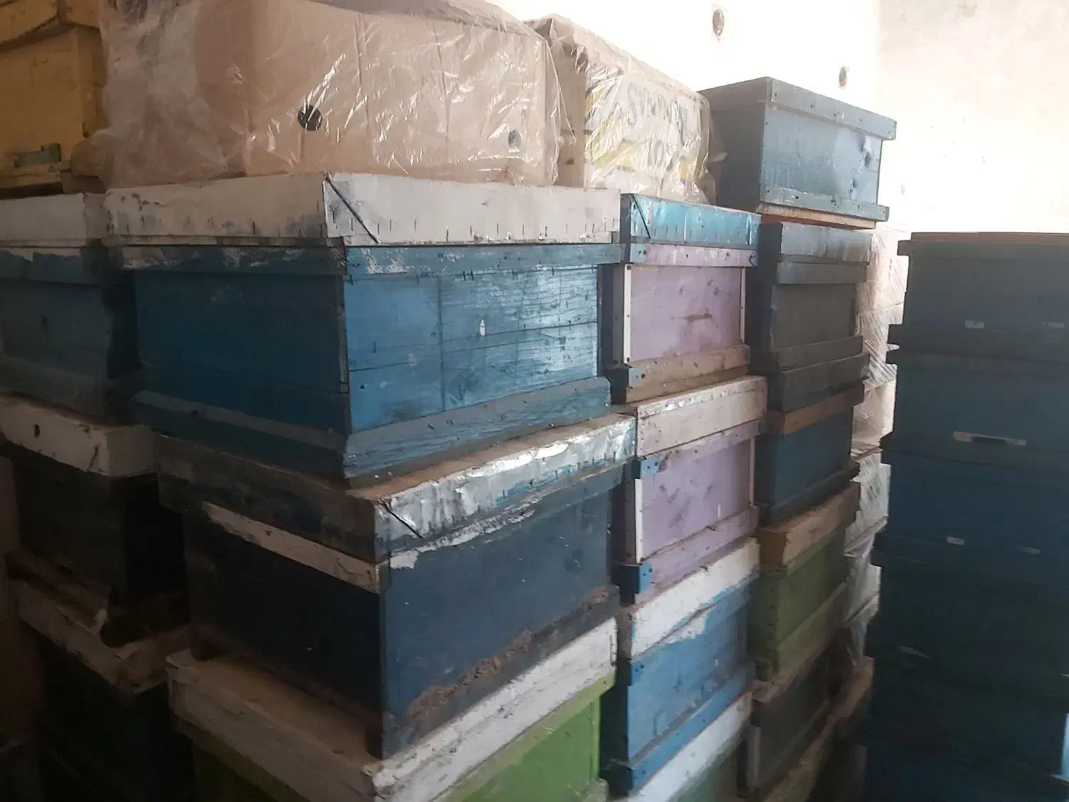 کندو خالی|لوازم جانبی حیوانات|کازرون, |دیوار