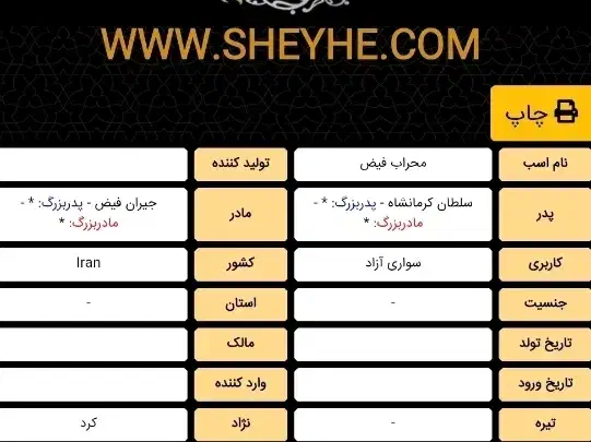 اسب کرد خالص|اسب و تجهیزات اسبسواری|زنجان, |دیوار