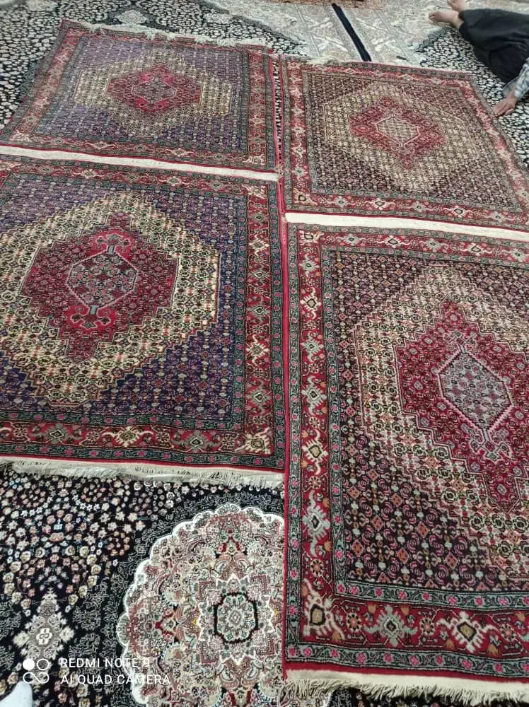 قالی یا جا نمازی دست بافت|فرش|سنندج, |دیوار