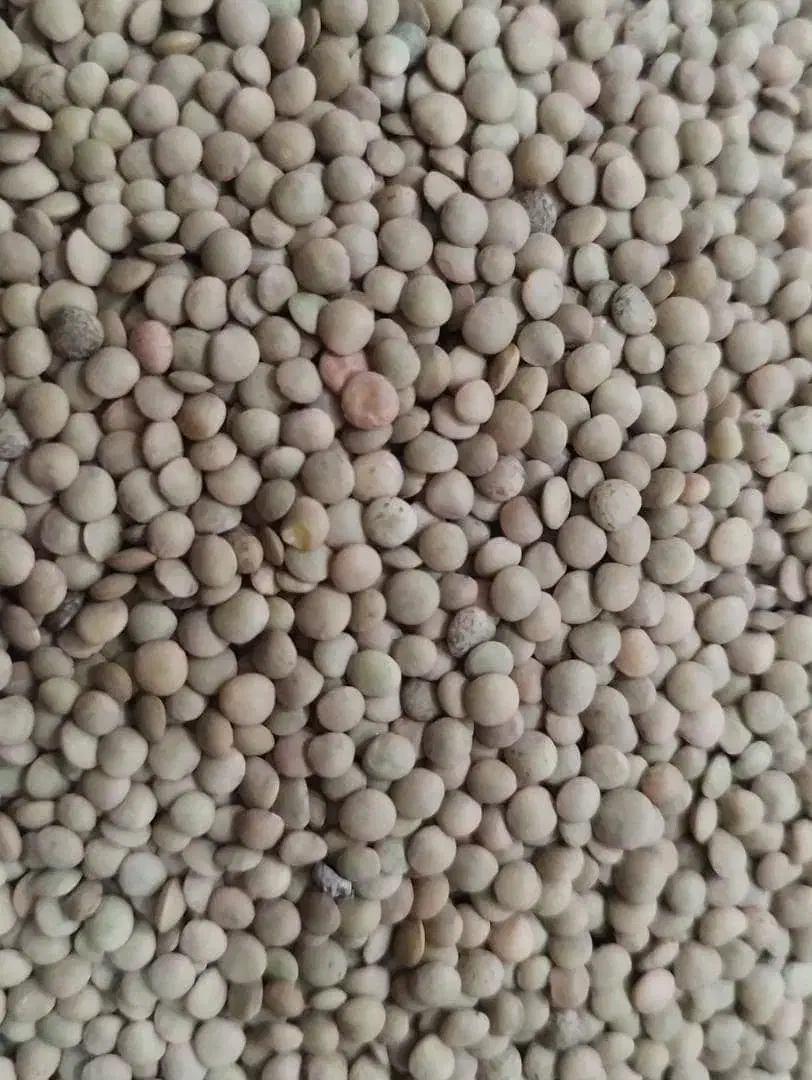 خشکباری ارزانکده مرغوب|خوردنی و آشامیدنی|شیراز, دست خضر|دیوار