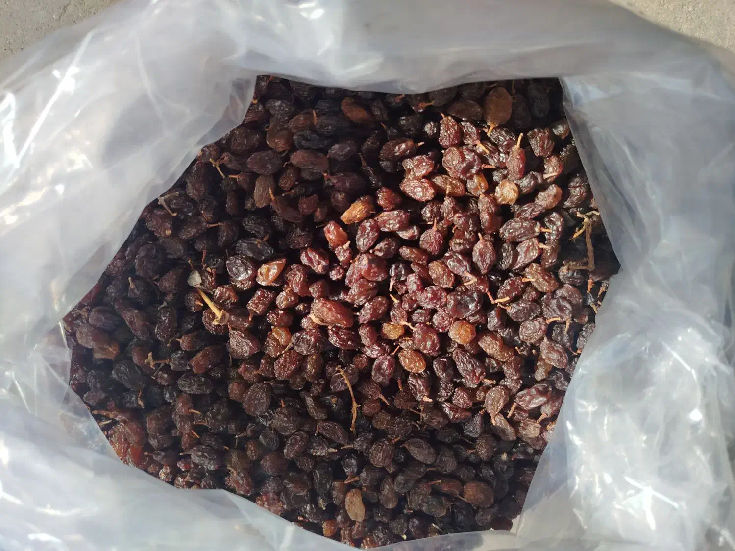 انواع کشمش|خوردنی و آشامیدنی|میاندوآب, |دیوار