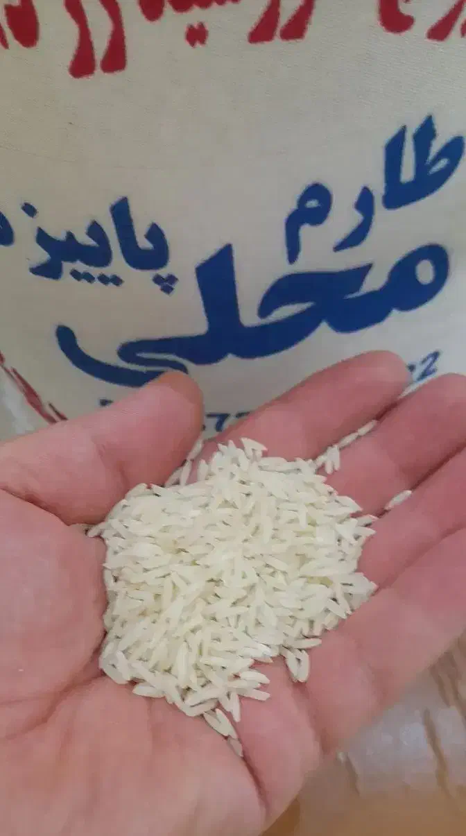 برنج طارم محلی فریدونکنار کالابرگ اصفهان کارت آزاد|خوردنی و آشامیدنی|اصفهان, رزمندگان|دیوار