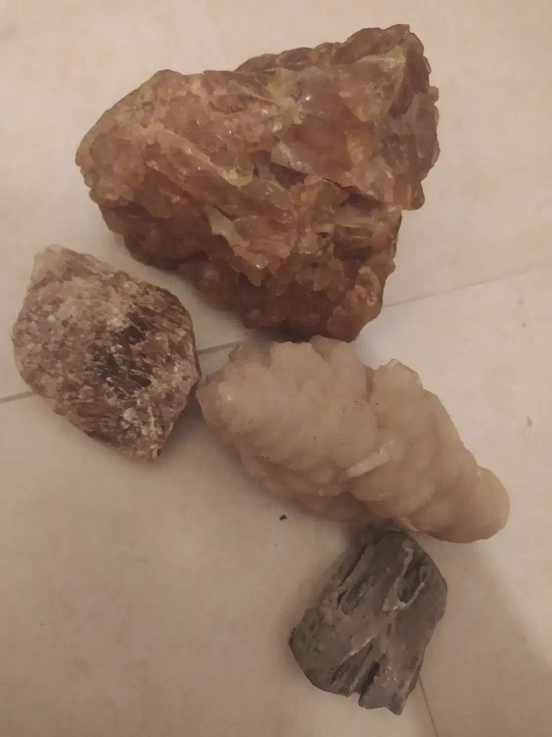 سنگ آکواریوم تزیینی|ماهی|تهران, وحیدیه|دیوار