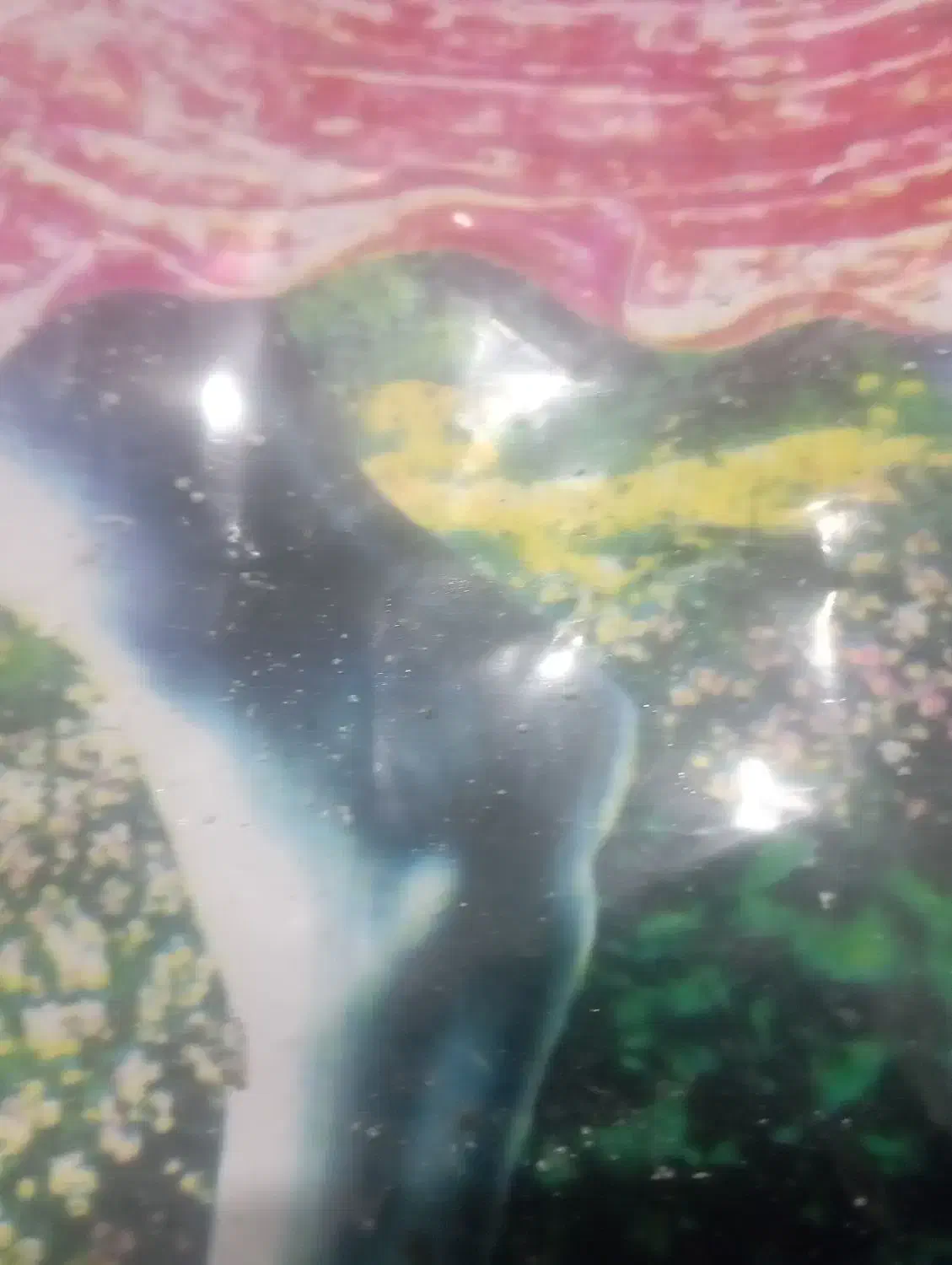 قطع درخت تخریب با پیکور و چاه کنی با پیکور|خدمات پیشه و مهارت|بم, |دیوار