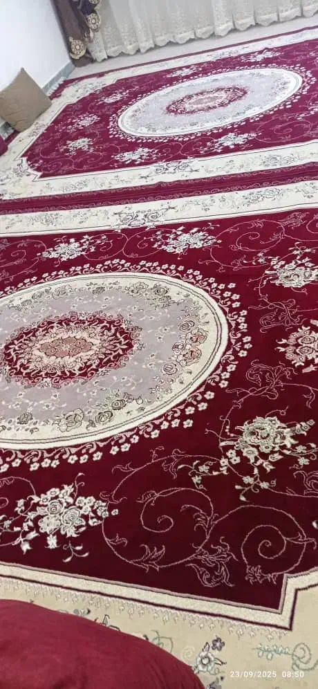 قالی|فرش|اهواز, گلستان|دیوار