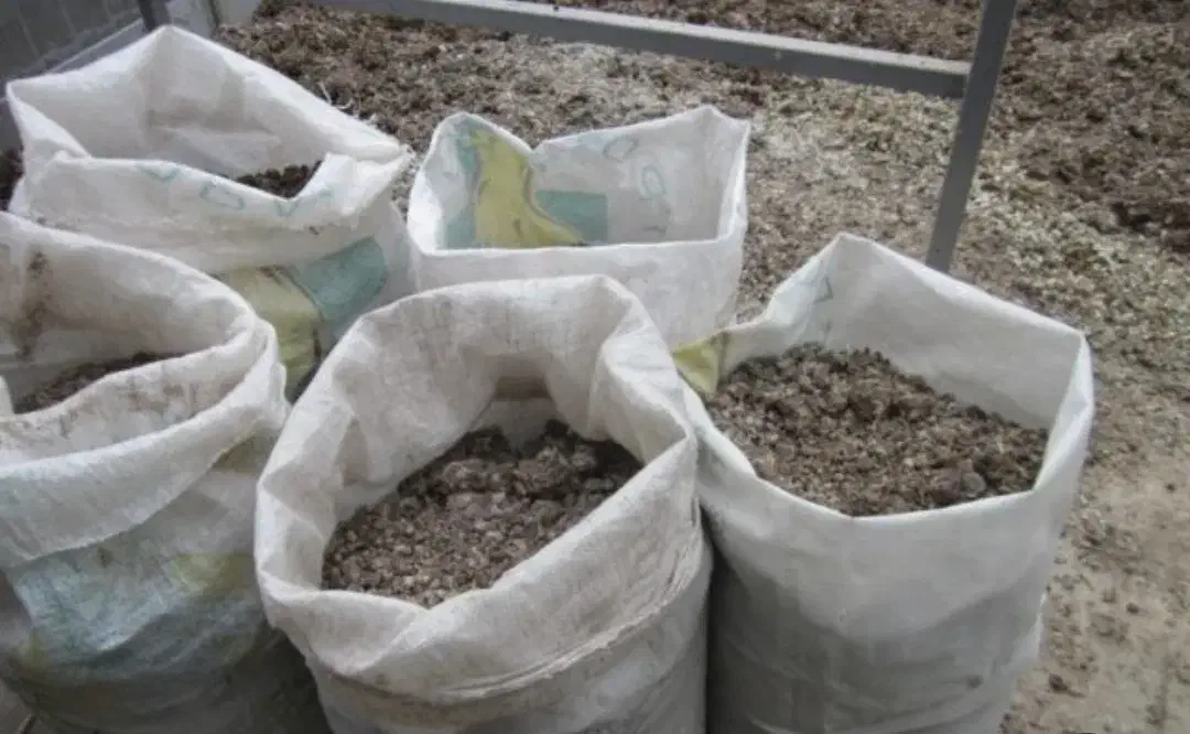 کود کبوتر|گل و گیاه طبیعی|خرقان, |دیوار