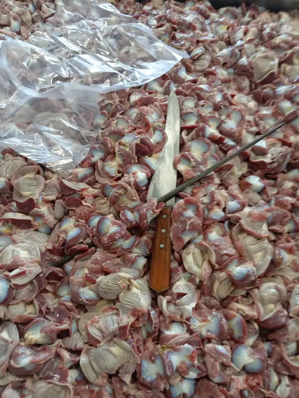 فروش سنگدان مرغ گوشتی|خوردنی و آشامیدنی|اصفهان, شهرک صنعتی جی|دیوار